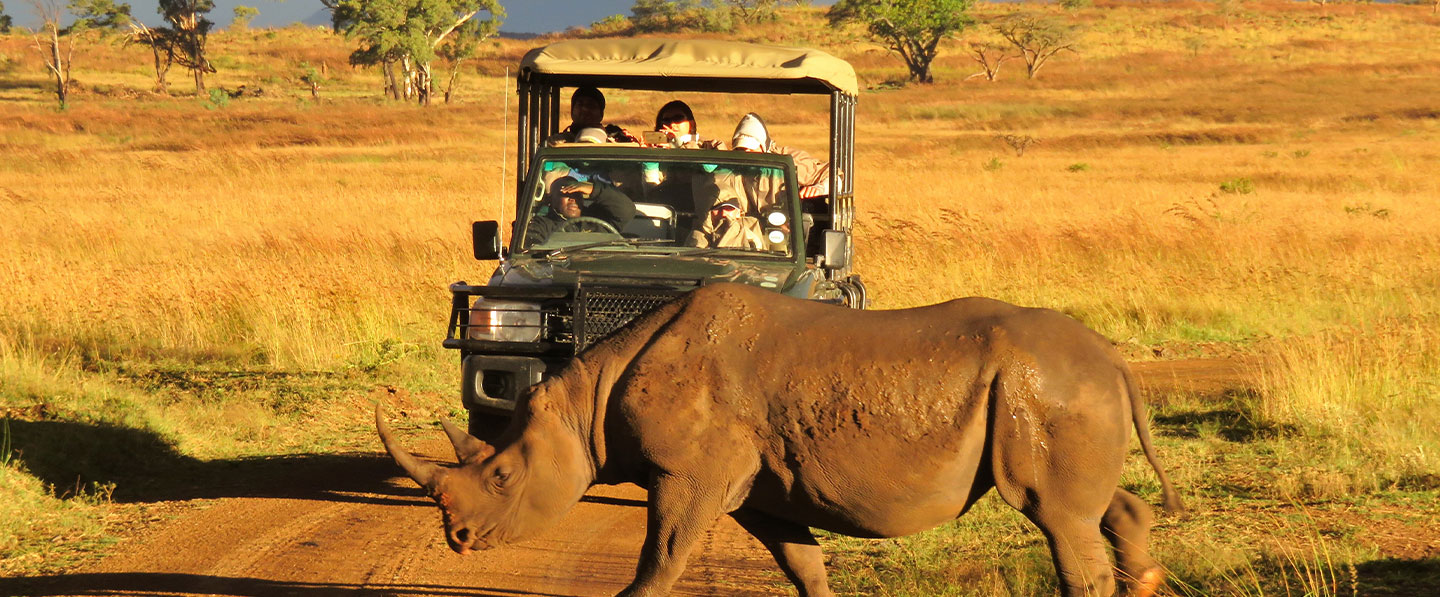 Esiweni Luxury Safari Lodge - Private Reserve