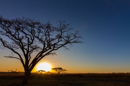 esiweni-lodge-wildlife-african-sunset-nambiti