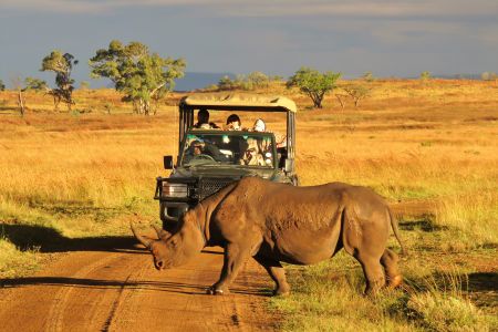 esiweni-luxury-safari-lodge-experience-rhino-game-drive